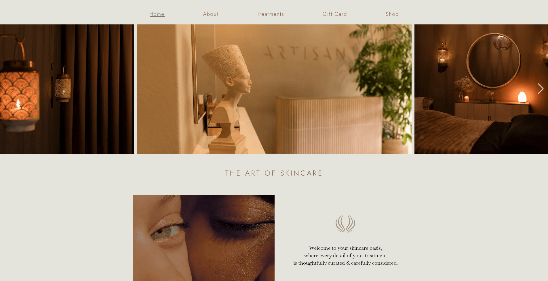 Artisan Skin website